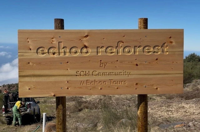 Placa de madeira «echoo reforest», na serra