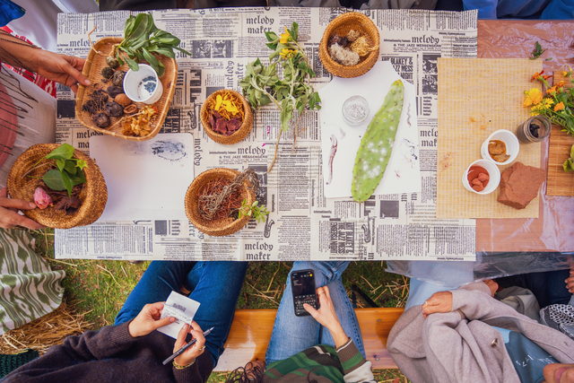 Mesa de oficina vista de cima, com cestos de plantas, flores e pigmentos