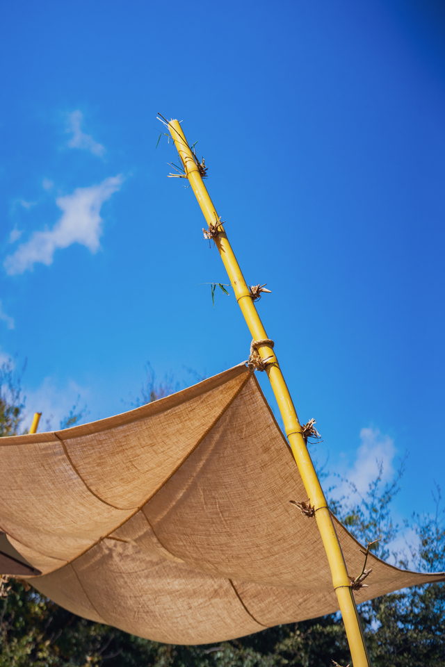 Vela de serapilheira presa a uma cana de bambu contra o céu azul